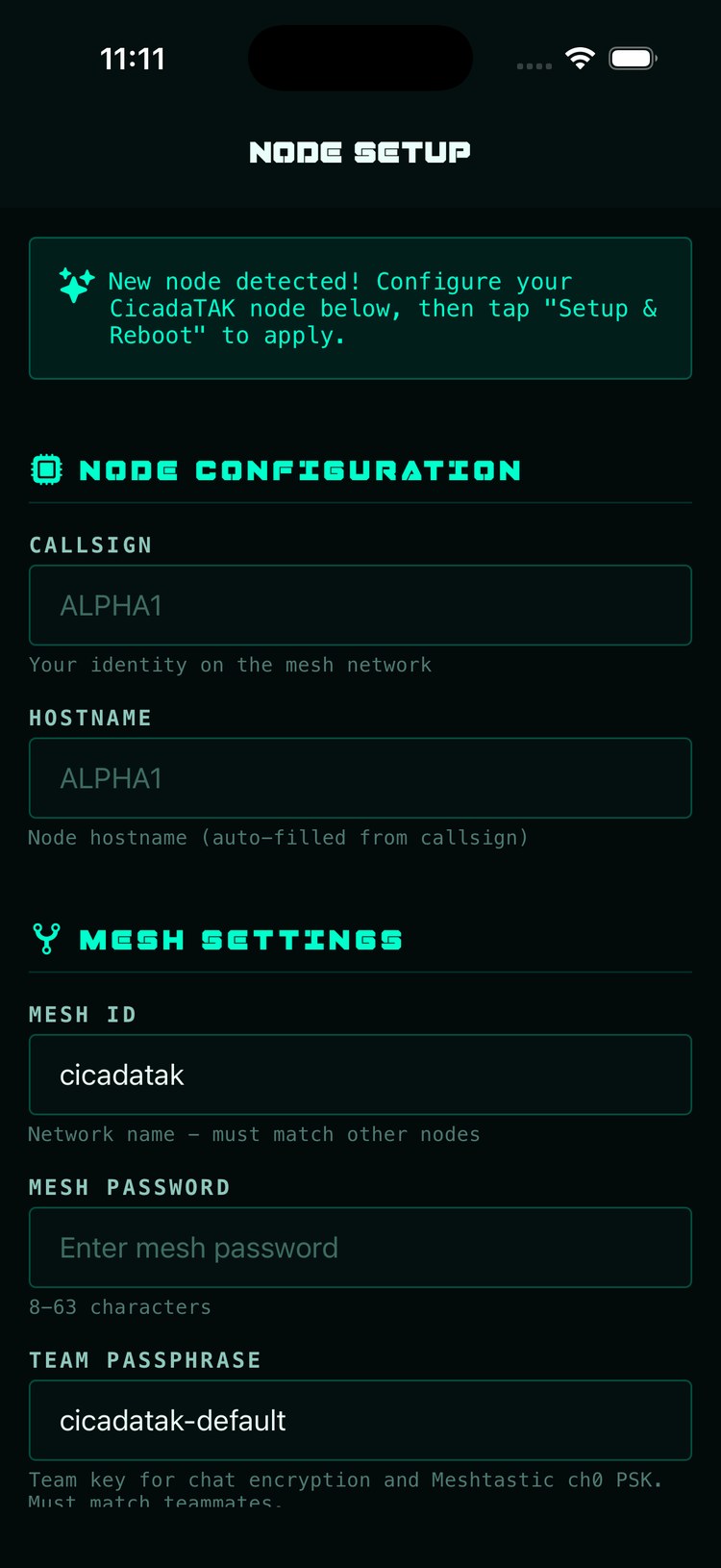 The Node Setup wizard, top: new node detected banner, callsign and hostname fields, mesh ID, mesh password and team passphrase